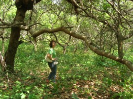  Bron in the wild cashew orchard