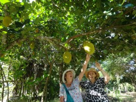 Jenny and Sue admiring one of the jackfruit trees at our organic farm