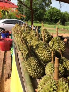 Durian on a roadside stall